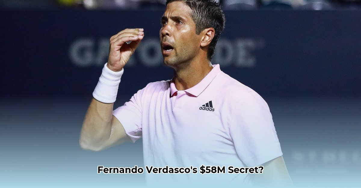 fernando-verdasco-net-worth